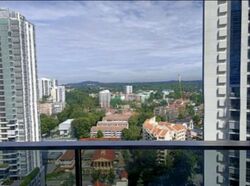 Trilight (D11), Condominium #503241401